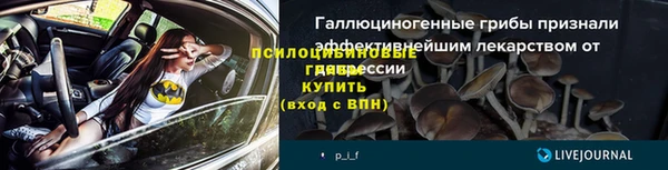 мяу мяу мука Осташков