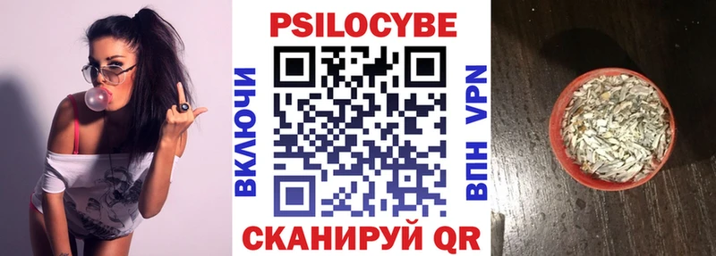 Галлюциногенные грибы Psilocybine cubensis  Сокол 