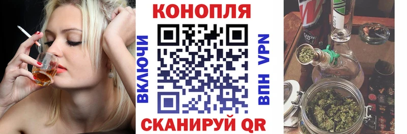 Канабис MAZAR  Сокол 